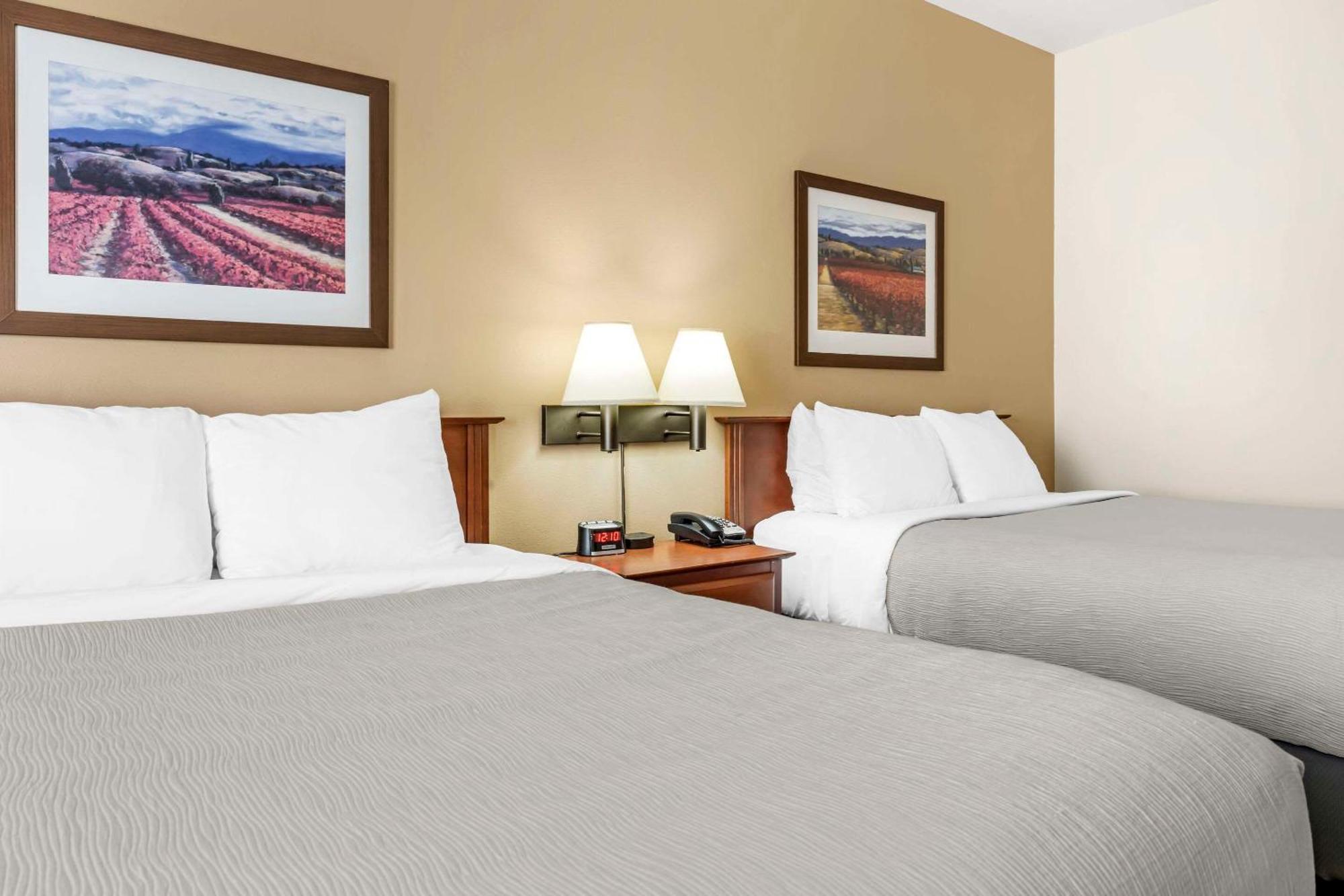 Quality Inn Airport Μόνκτον Εξωτερικό φωτογραφία